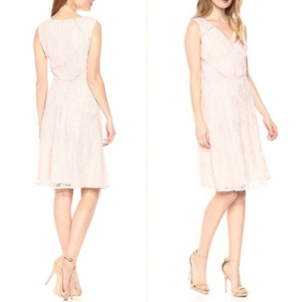 Adrianna Papell FIT and Flare Lace Dress, Blush